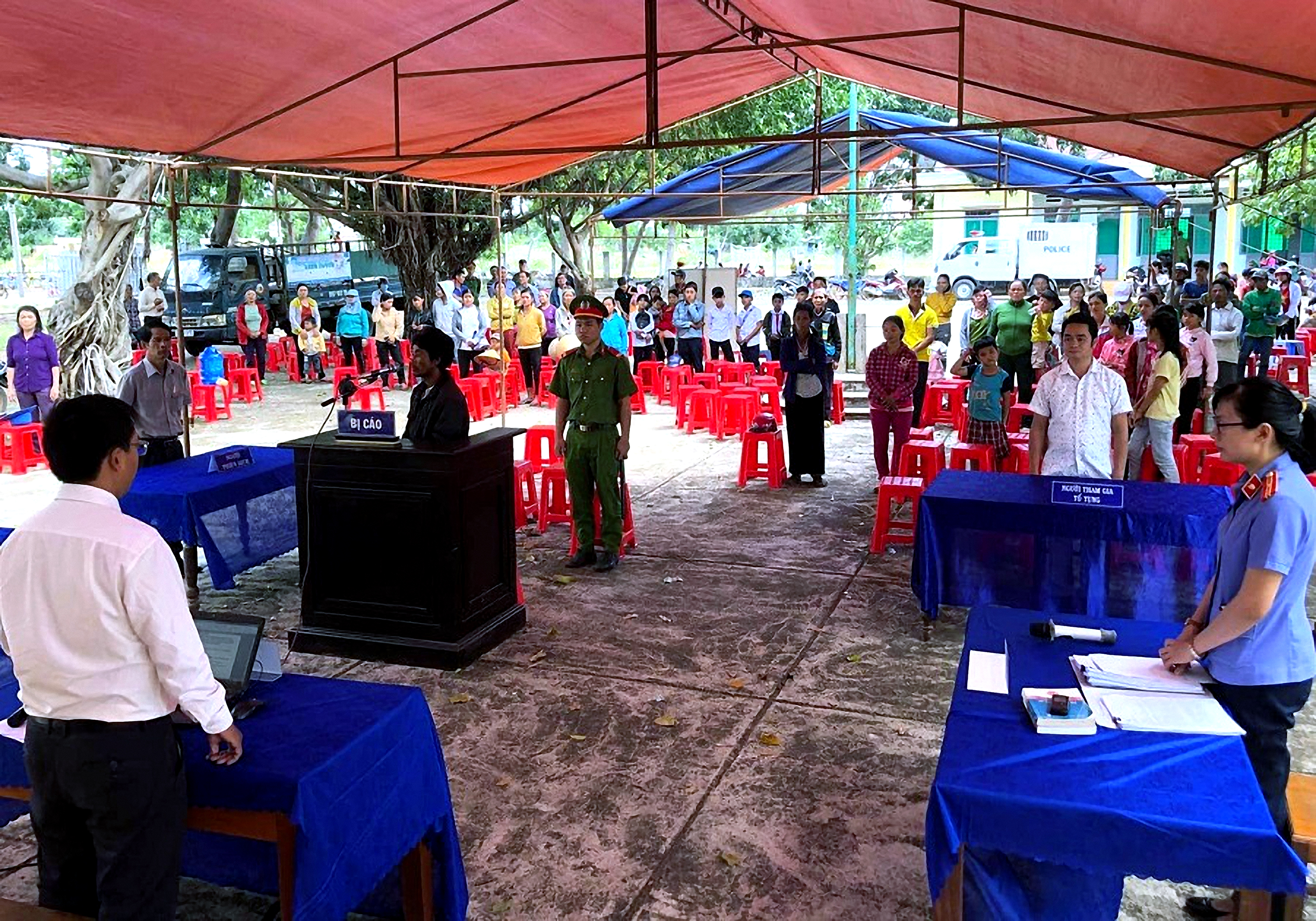Gia Lai: Chặt phá rừng trái phép, lãnh 18 tháng tù


